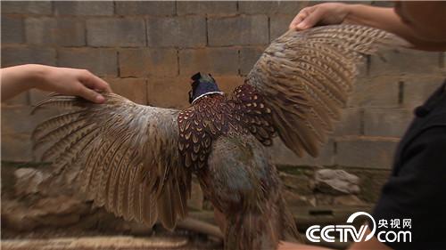 [&egrave;&acute;&aring;&macr;&ccedil;&raquo;]&aring;&yen;&sup3;&aelig;&plusmn;&aring;&shy;&eacute;&raquo;&aelig;&middot;&plusmn;&aring;&plusmn;&plusmn; &aring;&yen;&aelig;&egrave;&micro;&aelig;&yen;&eacute;&egrave;&acute;&cent;&aring;&macr; 20180829 