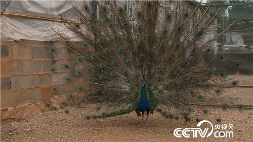 [&egrave;&acute;&aring;&macr;&ccedil;&raquo;]&aring;&yen;&sup3;&aelig;&plusmn;&aring;&shy;&eacute;&raquo;&aelig;&middot;&plusmn;&aring;&plusmn;&plusmn; &aring;&yen;&aelig;&egrave;&micro;&aelig;&yen;&eacute;&egrave;&acute;&cent;&aring;&macr; 20180829 