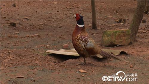 [&egrave;&acute;&aring;&macr;&ccedil;&raquo;]&aring;&yen;&sup3;&aelig;&plusmn;&aring;&shy;&eacute;&raquo;&aelig;&middot;&plusmn;&aring;&plusmn;&plusmn; &aring;&yen;&aelig;&egrave;&micro;&aelig;&yen;&eacute;&egrave;&acute;&cent;&aring;&macr; 20180829 