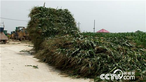 [&egrave;&acute;&aring;&macr;&ccedil;&raquo;]&egrave;&plusmn;&aelig;&nbsp;&middot;&ccedil;&ccedil;&plusmn;&sup3;&eacute;&aring;&curren;&aring; &aring;&ordm;&aelig;&aring;&aring;&ordm;&auml;&cedil;&auml;&ordm;&iquest;&aring;&curren; 20180830 