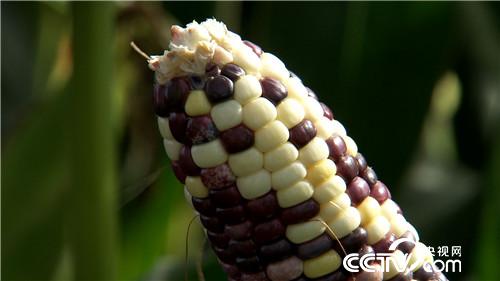 [&egrave;&acute;&aring;&macr;&ccedil;&raquo;]&egrave;&plusmn;&aelig;&nbsp;&middot;&ccedil;&ccedil;&plusmn;&sup3;&eacute;&aring;&curren;&aring; &aring;&ordm;&aelig;&aring;&aring;&ordm;&auml;&cedil;&auml;&ordm;&iquest;&aring;&curren; 20180830 