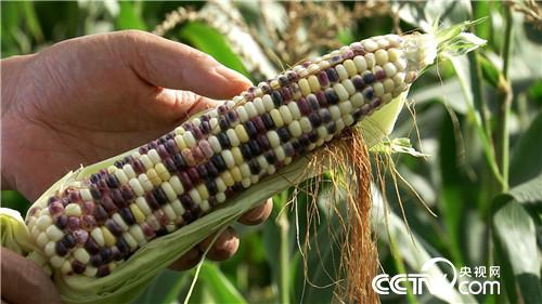 [&egrave;&acute;&aring;&macr;&ccedil;&raquo;]&egrave;&plusmn;&aelig;&nbsp;&middot;&ccedil;&ccedil;&plusmn;&sup3;&eacute;&aring;&curren;&aring; &aring;&ordm;&aelig;&aring;&aring;&ordm;&auml;&cedil;&auml;&ordm;&iquest;&aring;&curren; 20180830 