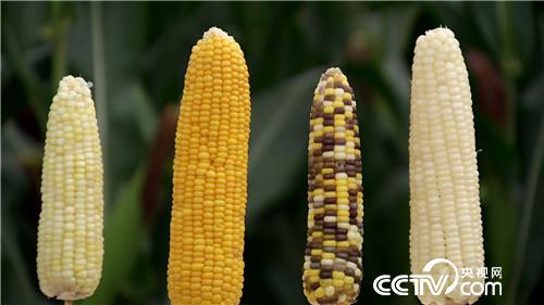 [&egrave;&acute;&aring;&macr;&ccedil;&raquo;]&egrave;&plusmn;&aelig;&nbsp;&middot;&ccedil;&ccedil;&plusmn;&sup3;&eacute;&aring;&curren;&aring; &aring;&ordm;&aelig;&aring;&aring;&ordm;&auml;&cedil;&auml;&ordm;&iquest;&aring;&curren; 20180830 