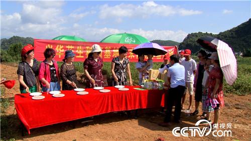 &egrave;&acute;&aring;&macr;&ccedil;&raquo;&iuml;&frac14;&aelig;&iexcl;&ccedil;&nbsp;&acute;&ccedil;&ccedil;&middot;&auml;&ordm;&ordm;&aring;&eacute;&aring;&ccedil;&deg;&aring;&reg;&egrave;&acute;&auml;&sup1;&aring;(20170904)