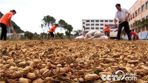 &egrave;&acute;&aring;&macr;&ccedil;&raquo;&iuml;&frac14;&aelig;&iexcl;&ccedil;&nbsp;&acute;&ccedil;&ccedil;&middot;&auml;&ordm;&ordm;&aring;&eacute;&aring;&ccedil;&deg;&aring;&reg;&egrave;&acute;&auml;&sup1;&aring;(20170904)