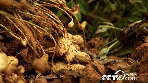 &egrave;&acute;&aring;&macr;&ccedil;&raquo;&iuml;&frac14;&aelig;&iexcl;&ccedil;&nbsp;&acute;&ccedil;&ccedil;&middot;&auml;&ordm;&ordm;&aring;&eacute;&aring;&ccedil;&deg;&aring;&reg;&egrave;&acute;&auml;&sup1;&aring;(20170904)