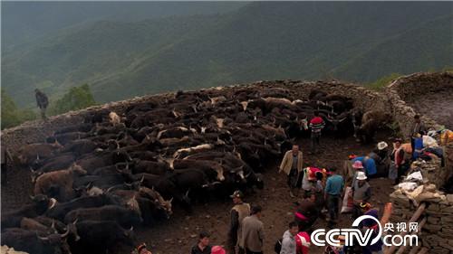 [&egrave;&acute;&aring;&macr;&ccedil;&raquo;]&ccedil;&frac34;&auml;&cedil;&ccedil;&brvbar;&ccedil;&egrave;&acute;&cent; &aring;&ordf;&aelig;&macr;&aring;&ordf;&aring;&ordm;&aelig;&yen; 20180903 