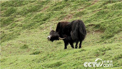 [&egrave;&acute;&aring;&macr;&ccedil;&raquo;]&ccedil;&frac34;&auml;&cedil;&ccedil;&brvbar;&ccedil;&egrave;&acute;&cent; &aring;&ordf;&aelig;&macr;&aring;&ordf;&aring;&ordm;&aelig;&yen; 20180903 