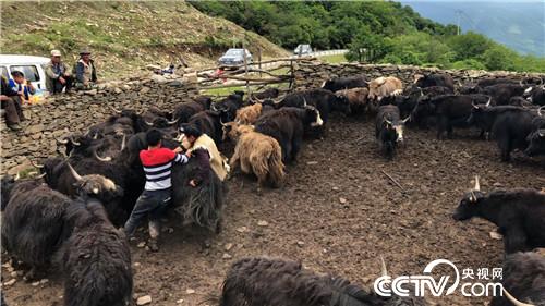 [&egrave;&acute;&aring;&macr;&ccedil;&raquo;]&ccedil;&frac34;&auml;&cedil;&ccedil;&brvbar;&ccedil;&egrave;&acute;&cent; &aring;&ordf;&aelig;&macr;&aring;&ordf;&aring;&ordm;&aelig;&yen; 20180903 