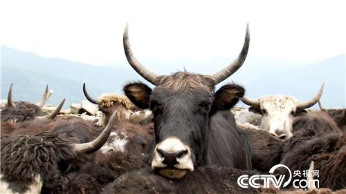 [&egrave;&acute;&aring;&macr;&ccedil;&raquo;]&ccedil;&frac34;&auml;&cedil;&ccedil;&brvbar;&ccedil;&egrave;&acute;&cent; &aring;&ordf;&aelig;&macr;&aring;&ordf;&aring;&ordm;&aelig;&yen; 20180903 