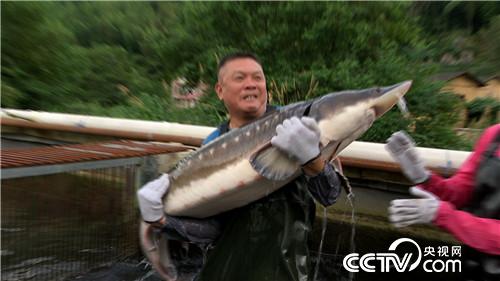 [&egrave;&acute;&aring;&macr;&ccedil;&raquo;]&aring;&cedil;&brvbar;&ccedil;1000&aring;&eacute;&macr;&aring;&auml;&ordm;&not; &auml;&cedil;&aring;&yen;&egrave;&macr;&egrave;&reg;&copy;&auml;&raquo;&aring;&middot;&sect;&aring;&aring;&auml;&cedil; 20180904 