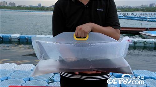 [&egrave;&acute;&aring;&macr;&ccedil;&raquo;]&aring;&cedil;&brvbar;&ccedil;1000&aring;&eacute;&macr;&aring;&auml;&ordm;&not; &auml;&cedil;&aring;&yen;&egrave;&macr;&egrave;&reg;&copy;&auml;&raquo;&aring;&middot;&sect;&aring;&aring;&auml;&cedil; 20180904 