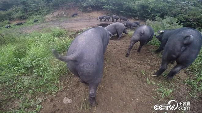 &egrave;&acute;&aring;&macr;&ccedil;&raquo;&iuml;&frac14;&egrave;&reg;&copy;&aelig;&ccedil;&ordf;&aring;&aring;&curren;&aring;&iquest;&laquo; &aring;&sup1;&acute;&aring;&yen;&aring;&auml;&cedil;&egrave;&acute;&cent;(20171010)