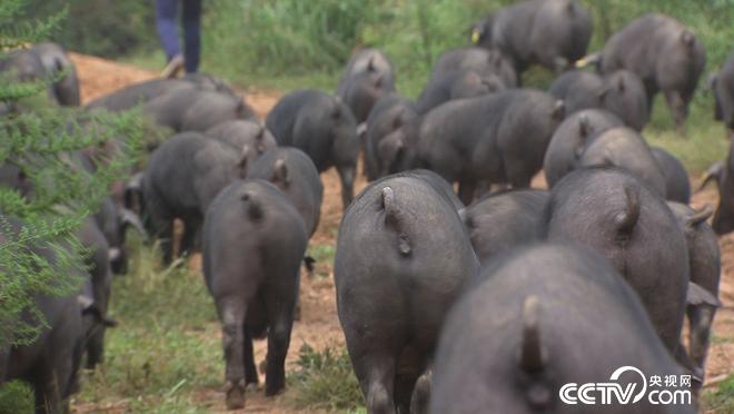 &egrave;&acute;&aring;&macr;&ccedil;&raquo;&iuml;&frac14;&egrave;&reg;&copy;&aelig;&ccedil;&ordf;&aring;&aring;&curren;&aring;&iquest;&laquo; &aring;&sup1;&acute;&aring;&yen;&aring;&auml;&cedil;&egrave;&acute;&cent;(20171010)