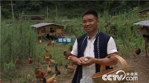 [&egrave;&acute;&aring;&macr;&ccedil;&raquo;]&egrave;&middot;&sup3;&ccedil;&egrave;<a href=https://www.zhifujing.org/special/yangji/ _fcksavedurl=https://www.zhifujing.org/special/yangji/ target=_blank class=infotextkey>&aring;&raquo;&eacute;&cedil;&iexcl;</a>&aring;&ccedil;&raquo;&iquest;&egrave; &aelig;&ordf;&aelig;&aring;&middot;&sect;&aring;1000&auml;&cedil; 20180906 