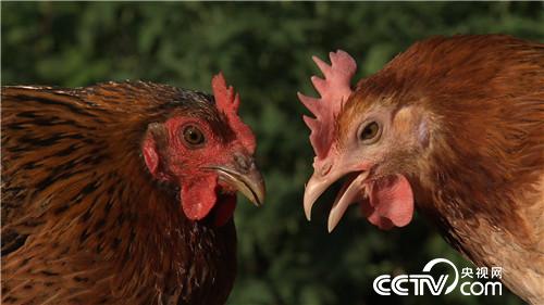 [&egrave;&acute;&aring;&macr;&ccedil;&raquo;]&egrave;&middot;&sup3;&ccedil;&egrave;&aring;&raquo;&eacute;&cedil;&iexcl;&aring;&ccedil;&raquo;&iquest;&egrave; &aelig;&ordf;&aelig;&aring;&middot;&sect;&aring;1000&auml;&cedil; 20180906 