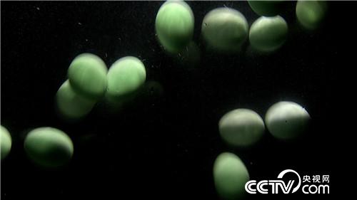 [&egrave;&acute;&aring;&macr;&ccedil;&raquo;]&egrave;&middot;&sup3;&ccedil;&egrave;&aring;&raquo;&eacute;&cedil;&iexcl;&aring;&ccedil;&raquo;&iquest;&egrave; &aelig;&ordf;&aelig;&aring;&middot;&sect;&aring;1000&auml;&cedil; 20180906 