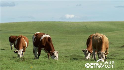 [&egrave;&acute;&aring;&macr;&ccedil;&raquo;]&ccedil;&yen;&ccedil;&sect;&aring;&aring;&shy;&auml;&cedil;&ordm;&aelig;&aring;&deg;&aelig;&aring;&deg;&auml;&frac14;&aring;&cedil;&brvbar;&aelig;&yen;&auml;&ordm;&iquest;&auml;&cedil;&egrave;&acute;&cent; 20180910 