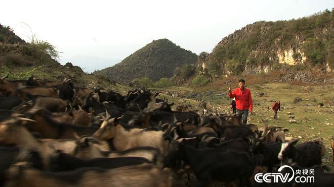 &egrave;&acute;&aring;&macr;&ccedil;&raquo;