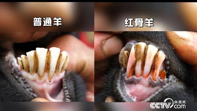 &egrave;&acute;&aring;&macr;&ccedil;&raquo;