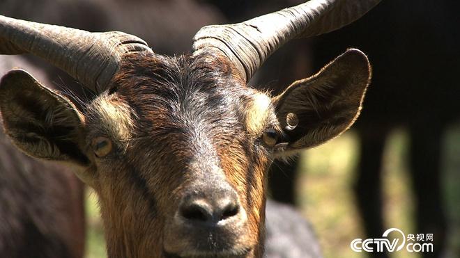 &egrave;&acute;&aring;&macr;&ccedil;&raquo;