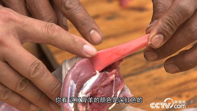 &egrave;&acute;&aring;&macr;&ccedil;&raquo;