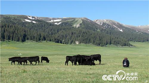 [&egrave;&acute;&aring;&macr;&ccedil;&raquo;]&aelig;&aring;&pound;&ccedil;&aring;&ordm;&aring;&aring;&auml;&cedil; &aring;&raquo;&ccedil;&auml;&cedil;&aring;&curren;&acute;&aring;8&auml;&cedil; &aring;&shy;&aring;&yen; 20180731