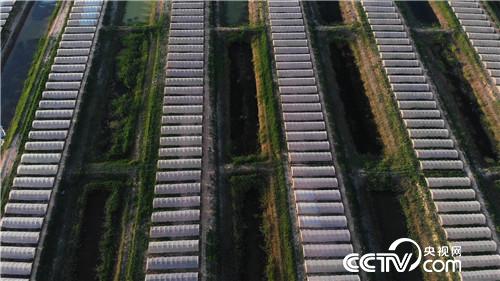 [&egrave;&acute;&aring;&macr;&ccedil;&raquo;]&egrave;&frac34;&aring;&iexcl;&aelig;&auml;&ordm;&aring;&reg; &aelig;&deg;&acute;&auml;&cedil;&aelig;&deg;&acute;&auml;&cedil;&eacute;&frac12;&egrave;&micro;&eacute;&plusmn; 20180802 