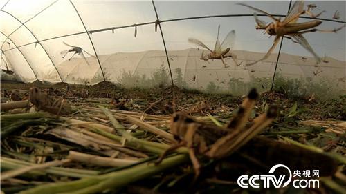 [&egrave;&acute;&aring;&macr;&ccedil;&raquo;]&egrave;&frac34;&aring;&iexcl;&aelig;&auml;&ordm;&aring;&reg; &aelig;&deg;&acute;&auml;&cedil;&aelig;&deg;&acute;&auml;&cedil;&eacute;&frac12;&egrave;&micro;&eacute;&plusmn; 20180802 