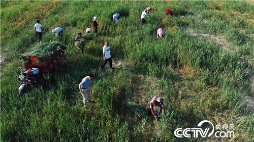 [&egrave;&acute;&aring;&macr;&ccedil;&raquo;]&egrave;&frac34;&aring;&iexcl;&aelig;&auml;&ordm;&aring;&reg; &aelig;&deg;&acute;&auml;&cedil;&aelig;&deg;&acute;&auml;&cedil;&eacute;&frac12;&egrave;&micro;&eacute;&plusmn; 20180802 