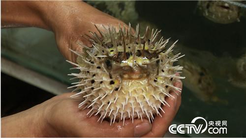 [&egrave;&acute;&aring;&macr;&ccedil;&raquo;]&aelig;&cedil;&aring;&curren;&laquo;&eacute;&aring;&deg;&auml;&iquest;&aring;&sect;&aring;&uml; &aelig;&middot;&plusmn;&aelig;&micro;&middot;&aelig;&middot;&eacute;&aring;&sup1;&acute;&aring;700&auml;&cedil; 20180822 