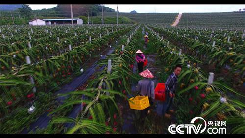 [&egrave;&acute;&aring;&macr;&ccedil;&raquo;]&ccedil;&macr;&auml;&cedil;&aelig;&yen;&egrave;&acute;&cent; 94&aring;&sup1;&acute;&aring;&deg;&auml;&frac14;&aring;&auml;&cedil;&auml;&ordm;&iquest;&aring;&ccedil;&ccedil;&sect;&aring;&macr;20180816 