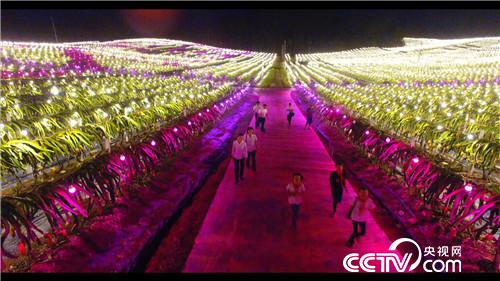 [&egrave;&acute;&aring;&macr;&ccedil;&raquo;]&ccedil;&macr;&auml;&cedil;&aelig;&yen;&egrave;&acute;&cent; 94&aring;&sup1;&acute;&aring;&deg;&auml;&frac14;&aring;&auml;&cedil;&auml;&ordm;&iquest;&aring;&ccedil;&ccedil;&sect;&aring;&macr;20180816 