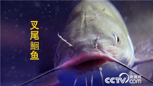 [&egrave;&acute;&aring;&macr;&ccedil;&raquo;]&auml;&ordm;&ccedil;&frac34;&aring;&curren;&aring;&aelig;&cedil;&aelig;&deg;&auml;&ordm;&ccedil;&egrave;&middot;&auml;&raquo;&aring;&raquo;&eacute;&plusmn;&frac14; &aring;&shy;&aring;&yen;&iuml;&frac14; 20180913 