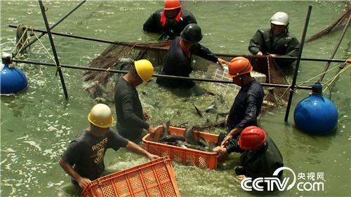 [&egrave;&acute;&aring;&macr;&ccedil;&raquo;]&auml;&ordm;&ccedil;&frac34;&aring;&curren;&aring;&aelig;&cedil;&aelig;&deg;&auml;&ordm;&ccedil;&egrave;&middot;&auml;&raquo;&aring;&raquo;&eacute;&plusmn;&frac14; &aring;&shy;&aring;&yen;&iuml;&frac14; 20180913 