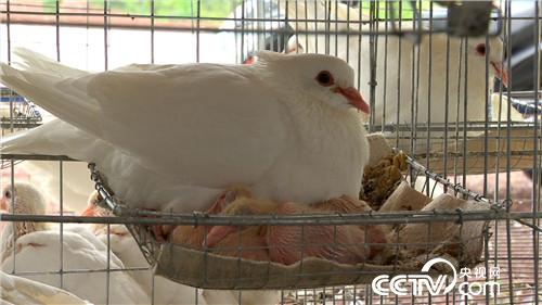 [&egrave;&acute;&aring;&macr;&ccedil;&raquo;]&egrave;&cent;&laquo;&egrave;&iquest;&laquo;&aelig;&yen;&aelig;&ccedil;&egrave;&micro;&eacute;&plusmn;&auml;&sup1;&deg;&aring; &aring;&brvbar;&auml;&frac12;&aring;&sup1;&acute;&aring;4000&auml;&cedil; 20180912