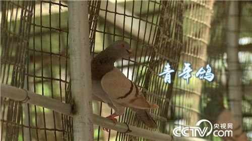 [&egrave;&acute;&aring;&macr;&ccedil;&raquo;]&egrave;&cent;&laquo;&egrave;&iquest;&laquo;&aelig;&yen;&aelig;&ccedil;&egrave;&micro;&eacute;&plusmn;&auml;&sup1;&deg;&aring; &aring;&brvbar;&auml;&frac12;&aring;&sup1;&acute;&aring;4000&auml;&cedil; 20180912