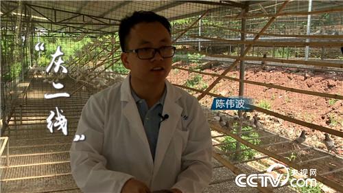 [&egrave;&acute;&aring;&macr;&ccedil;&raquo;]&egrave;&cent;&laquo;&egrave;&iquest;&laquo;&aelig;&yen;&aelig;&ccedil;&egrave;&micro;&eacute;&plusmn;&auml;&sup1;&deg;&aring; &aring;&brvbar;&auml;&frac12;&aring;&sup1;&acute;&aring;4000&auml;&cedil; 20180912