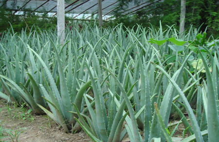 &egrave;&brvbar;&egrave;&ccedil;&sect;&aelig;&curren;