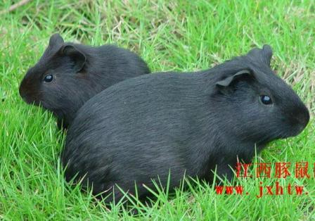 &auml;&cedil;&shy;&aring;&eacute;&raquo;&egrave;&plusmn;