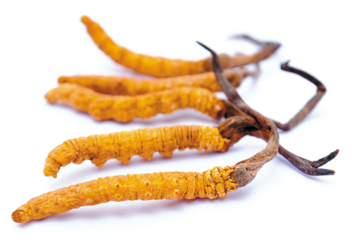 &aring;&not;&egrave;&laquo;&aring;&curren;&egrave;