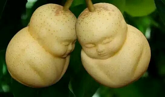 100&auml;&cedil;&ordf;&aelig;&not;&ordm;&eacute;&ordf;&aring;&aelig;&deg;&ccedil;&aring;&auml;&cedil;&eacute;&iexcl;&sup1;&ccedil;&reg;