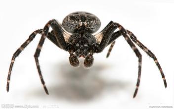 100&auml;&cedil;&ordf;&aelig;&not;&ordm;&eacute;&ordf;&aring;&aelig;&deg;&ccedil;&aring;&auml;&cedil;&eacute;&iexcl;&sup1;&ccedil;&reg;