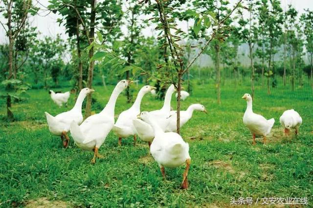 &aring;&auml;&cedil;&aring;10&aring;&curren;&sect;&aelig;&aring;&curren;&copy;&eacute;&ordf;&aring;&plusmn;&iuml;&frac14;&auml;&frac12;&nbsp;&auml;&cedil;&shy;&aelig;&auml;&ordm;&aring;&iuml;&frac14;