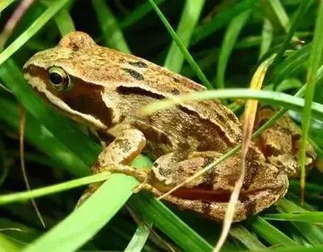 &egrave;&iquest;18&auml;&cedil;&ordf;&aring;&auml;&cedil;&eacute;&iexcl;&sup1;&ccedil;&reg;&eacute;&frac12;&aelig;&macr;&eacute;&ordf;&auml;&ordm;&ordm;&ccedil;&iuml;&frac14;&eacute;&aring;&deg;&auml;&cedil;&aring;&reg;&egrave;&brvbar;&egrave;&shy;&brvbar;&aelig;&iuml;&frac14;