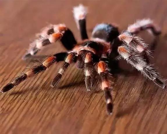 &egrave;&iquest;18&auml;&cedil;&ordf;&aring;&auml;&cedil;&eacute;&iexcl;&sup1;&ccedil;&reg;&eacute;&frac12;&aelig;&macr;&eacute;&ordf;&auml;&ordm;&ordm;&ccedil;&iuml;&frac14;&eacute;&aring;&deg;&auml;&cedil;&aring;&reg;&egrave;&brvbar;&egrave;&shy;&brvbar;&aelig;&iuml;&frac14;