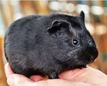 &egrave;&iquest;18&auml;&cedil;&ordf;&aring;&auml;&cedil;&eacute;&iexcl;&sup1;&ccedil;&reg;&eacute;&frac12;&aelig;&macr;&eacute;&ordf;&auml;&ordm;&ordm;&ccedil;&iuml;&frac14;&eacute;&aring;&deg;&auml;&cedil;&aring;&reg;&egrave;&brvbar;&egrave;&shy;&brvbar;&aelig;&iuml;&frac14;