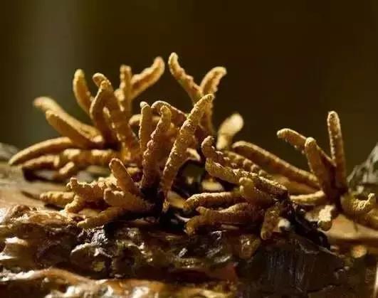 &egrave;&iquest;18&auml;&cedil;&ordf;&aring;&auml;&cedil;&eacute;&iexcl;&sup1;&ccedil;&reg;&eacute;&frac12;&aelig;&macr;&eacute;&ordf;&auml;&ordm;&ordm;&ccedil;&iuml;&frac14;&eacute;&aring;&deg;&auml;&cedil;&aring;&reg;&egrave;&brvbar;&egrave;&shy;&brvbar;&aelig;&iuml;&frac14;