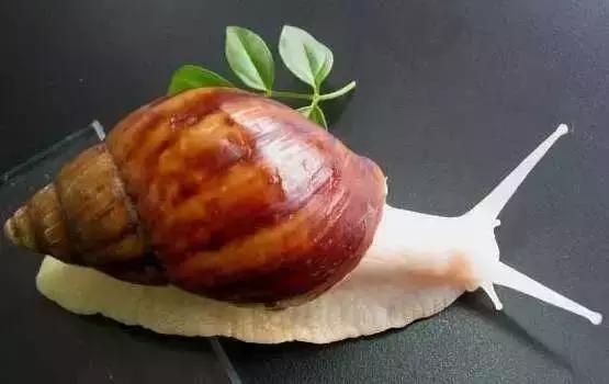 &egrave;&iquest;18&auml;&cedil;&ordf;&aring;&auml;&cedil;&eacute;&iexcl;&sup1;&ccedil;&reg;&eacute;&frac12;&aelig;&macr;&eacute;&ordf;&auml;&ordm;&ordm;&ccedil;&iuml;&frac14;&eacute;&aring;&deg;&auml;&cedil;&aring;&reg;&egrave;&brvbar;&egrave;&shy;&brvbar;&aelig;&iuml;&frac14;