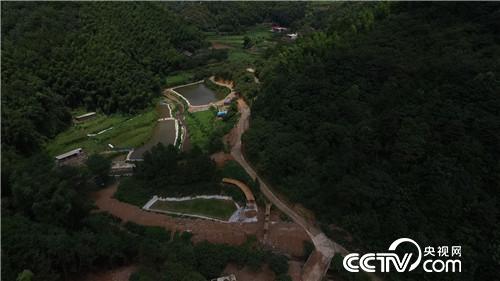 [致富经]只吃草的鱼 出锅像猫余 让他年赚600万 20181022 